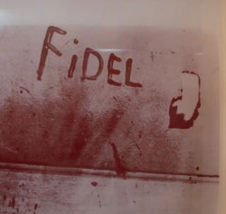 Fidel en sangre
