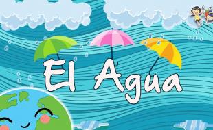 El agua y su cuidado: ¿cómo cuidar el agua?