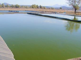 Laguna de Oxidación