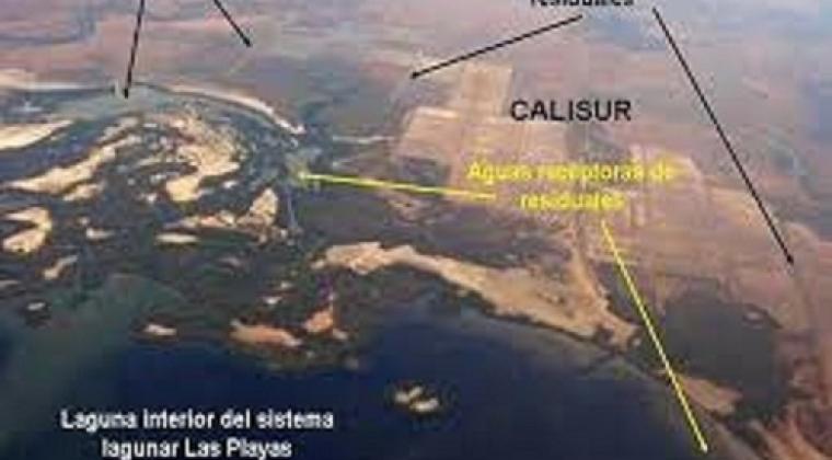 calisur calisur
