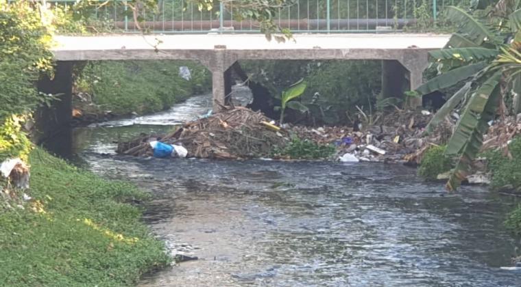 Limpieza del río de Boyeros 1