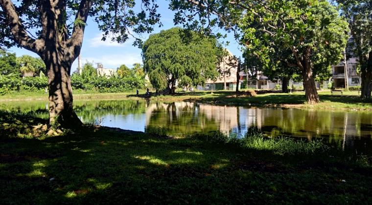 ESBH trabaja arduamente para mantener el estado medioambiental del “Laguito” 1