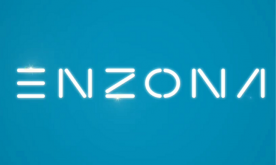 Logo Enzona